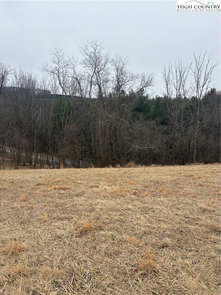 Image number 1 for the current listing