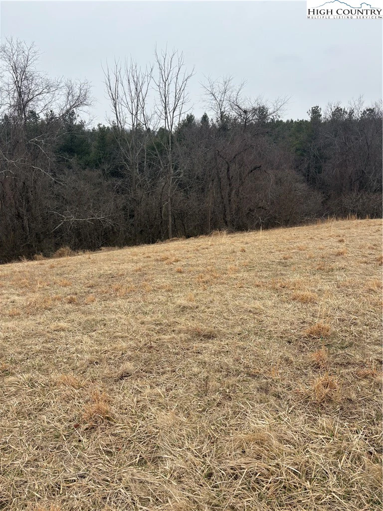 Image number 3 for the current listing