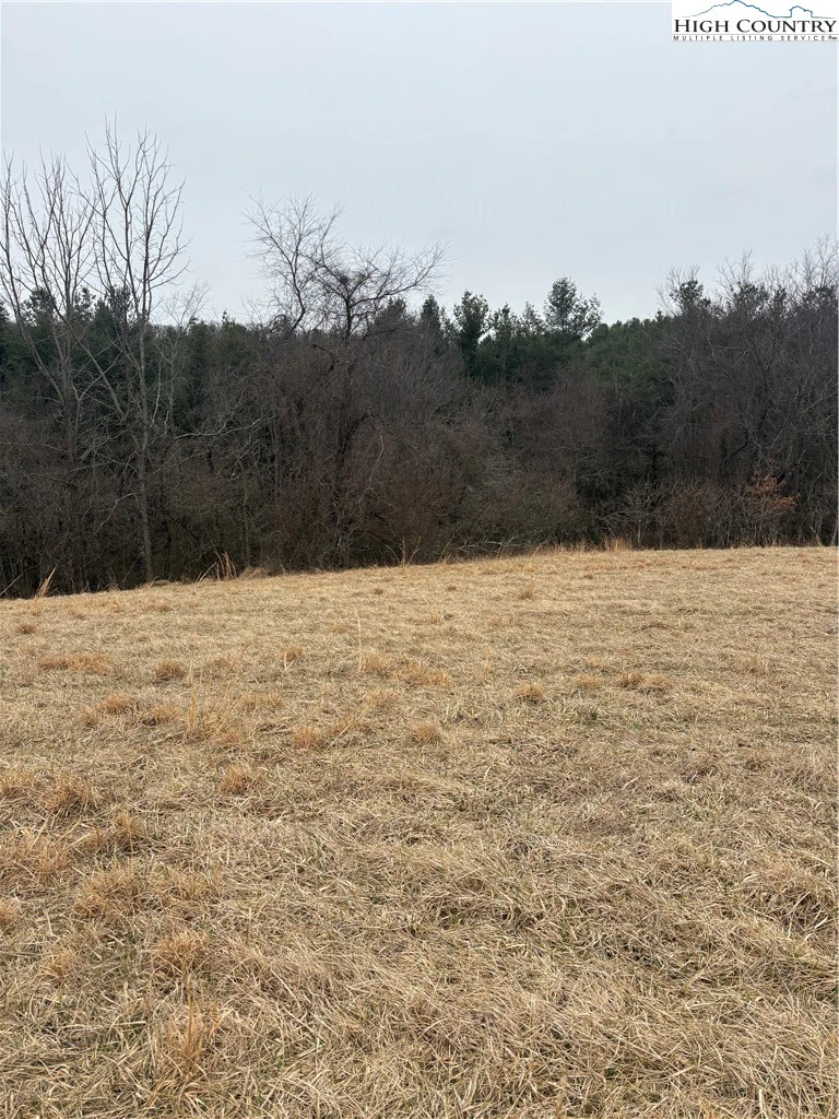 Image number 7 for the current listing