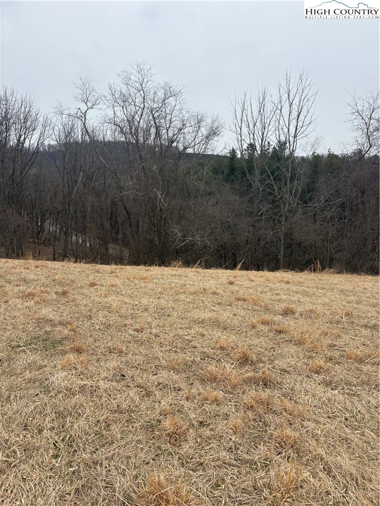 Image number 8 for the current listing