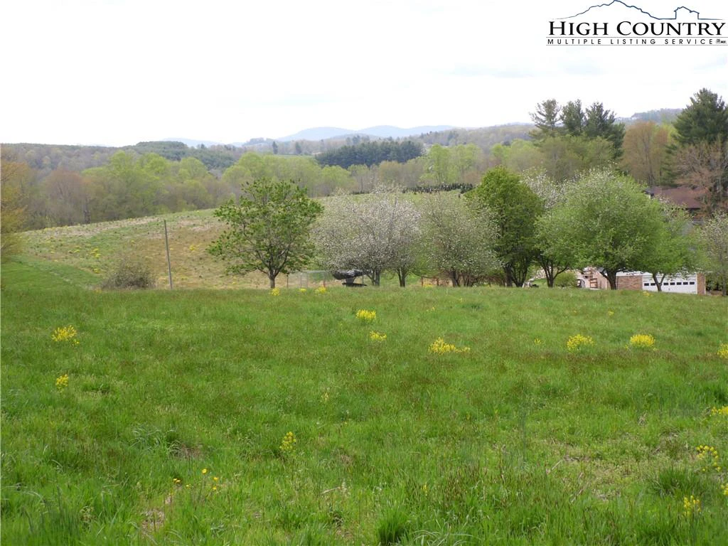 Image number 1 for the current listing