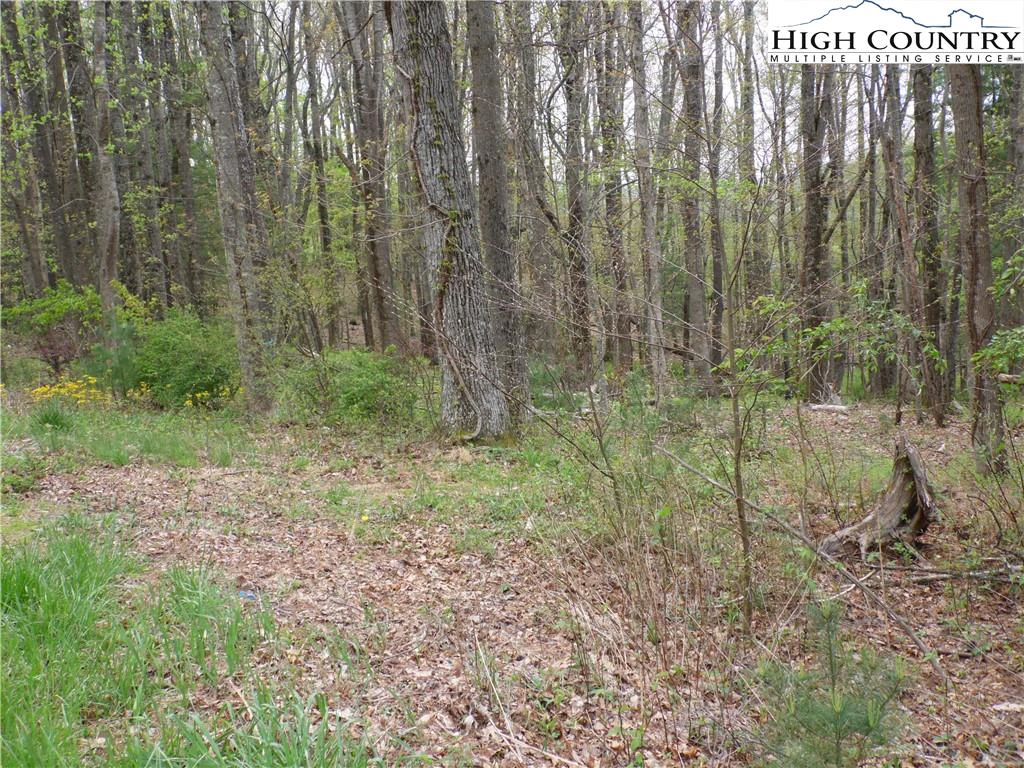 Image number 10 for the current listing