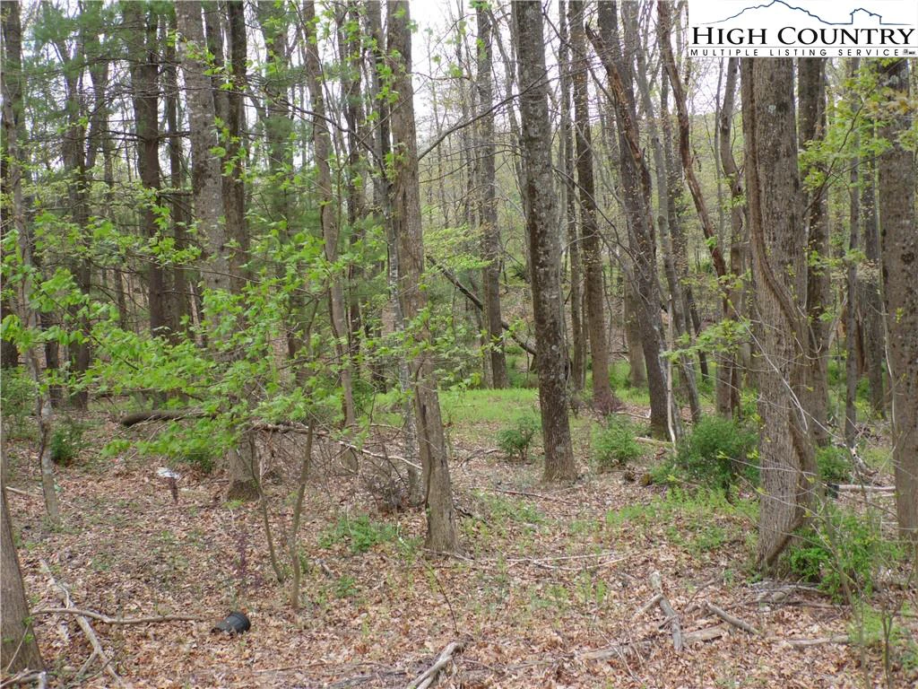 Image number 9 for the current listing