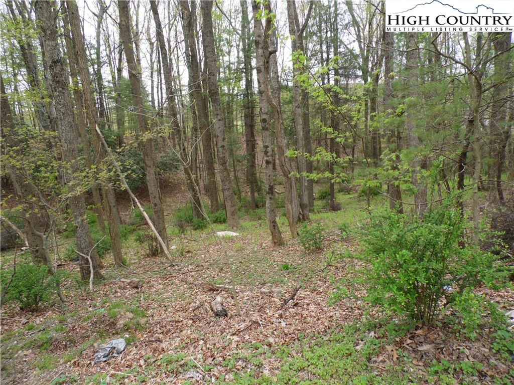 Image number 8 for the current listing