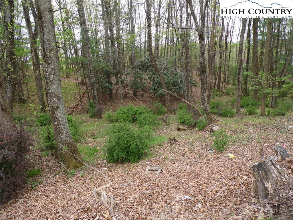 Image number 7 for the current listing