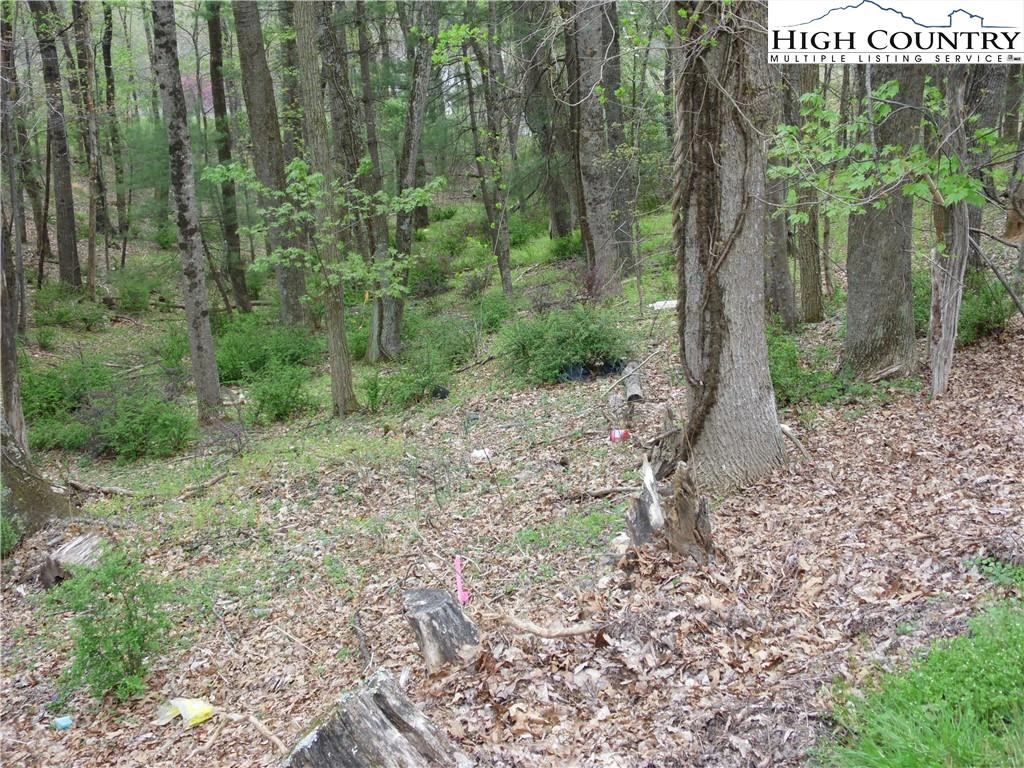 Image number 6 for the current listing
