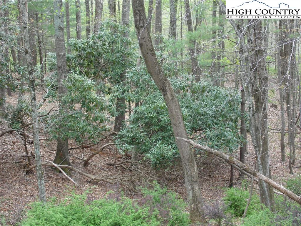 Image number 5 for the current listing