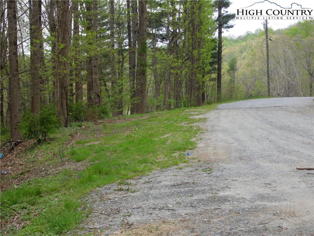Image number 4 for the current listing
