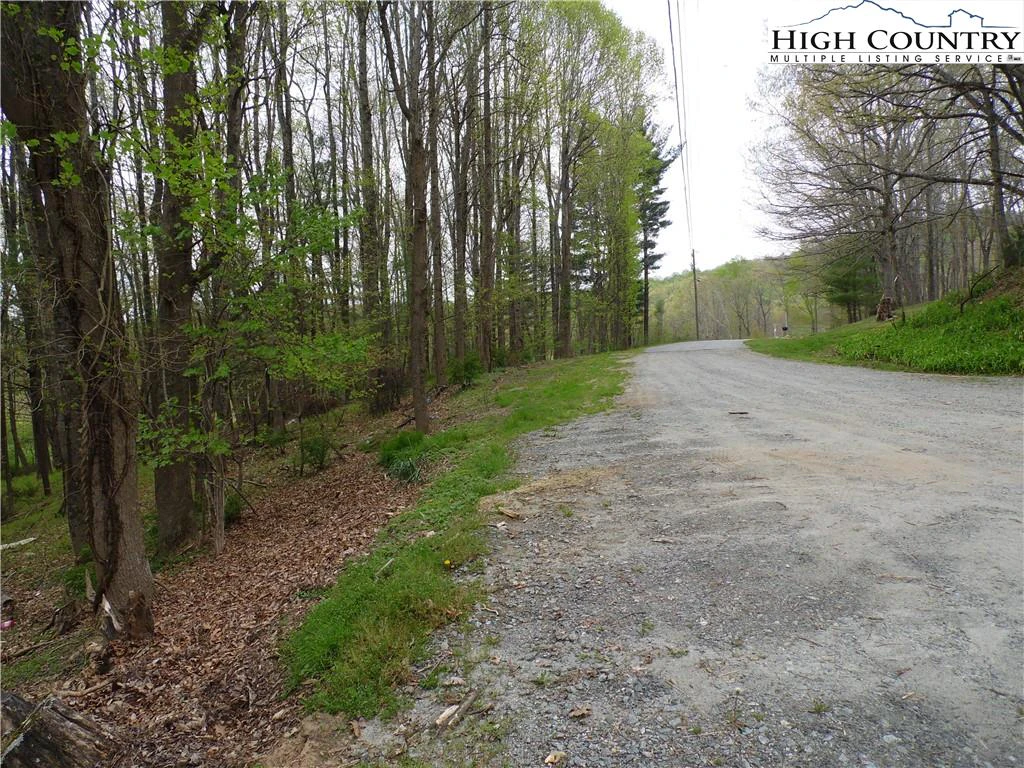 Image number 3 for the current listing