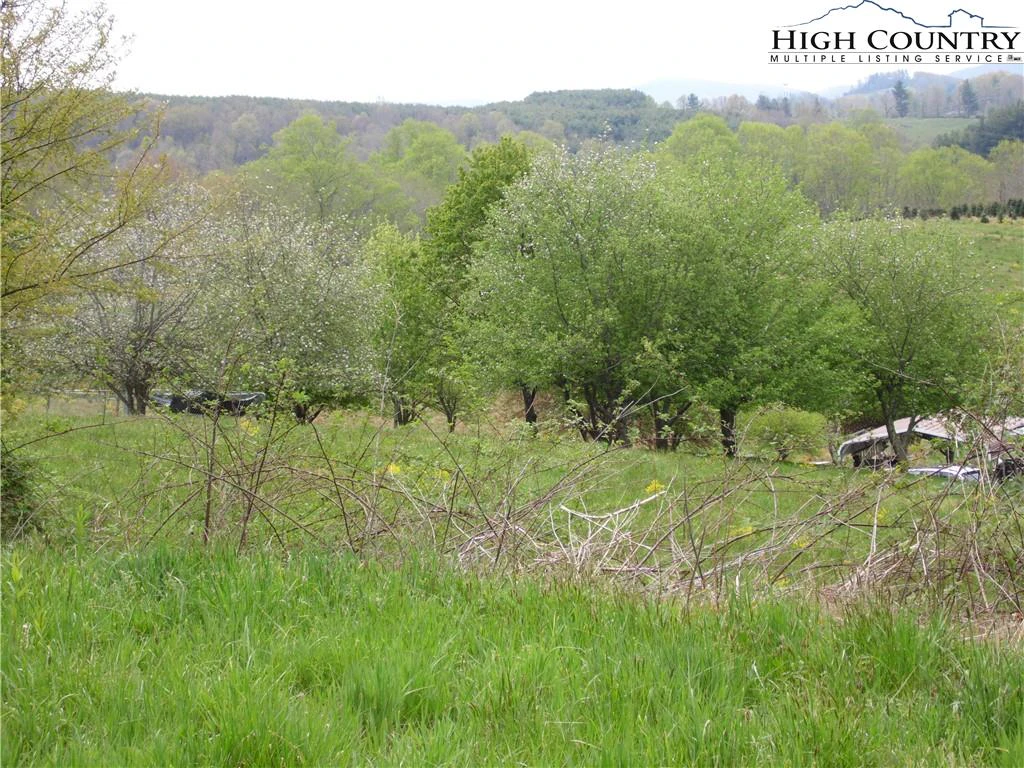 Image number 14 for the current listing