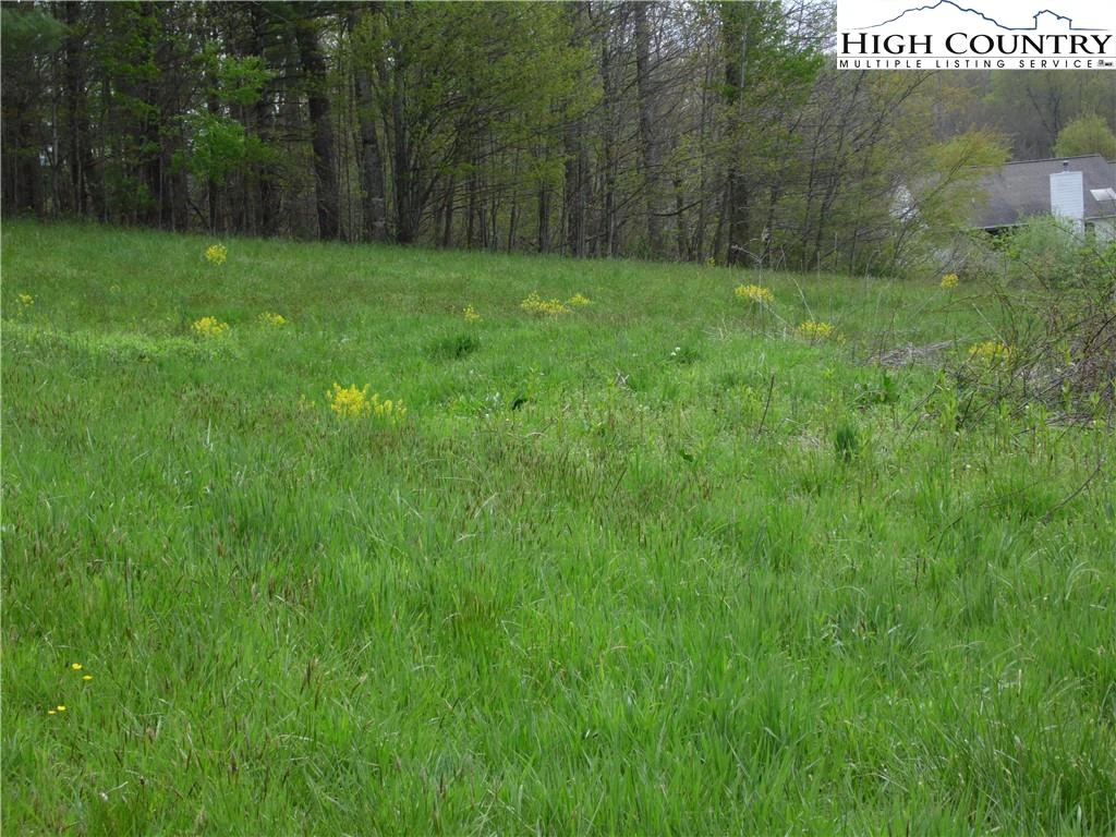 Image number 13 for the current listing