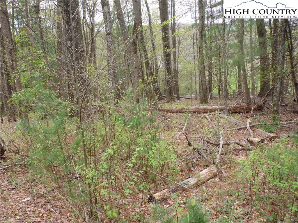 Image number 2 for the current listing