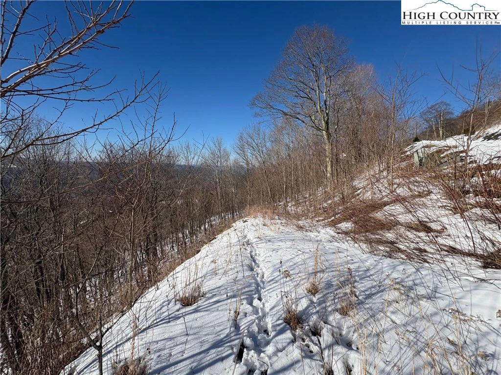 Image number 11 for the current listing