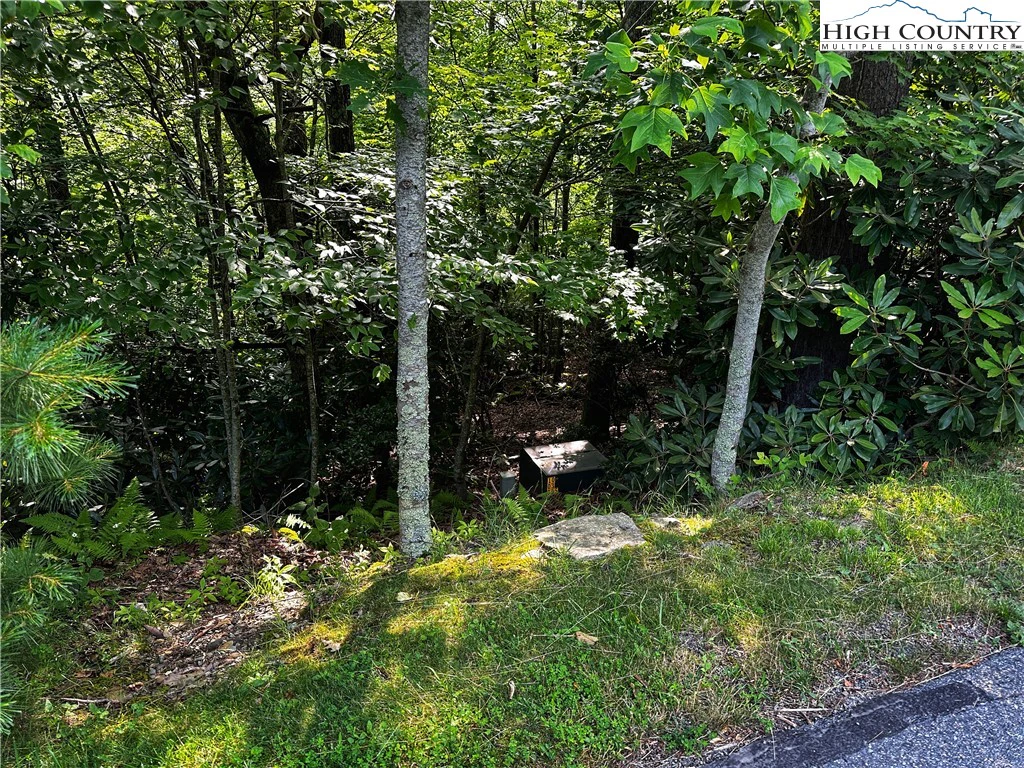 Image number 4 for the current listing