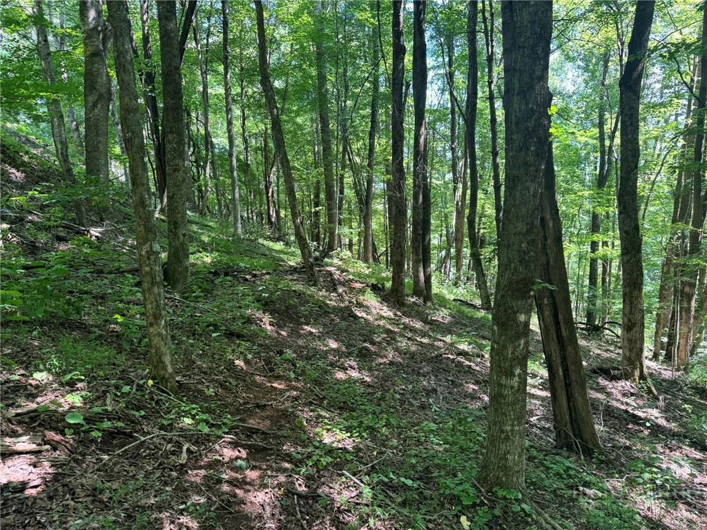 Image number 6 for the current listing