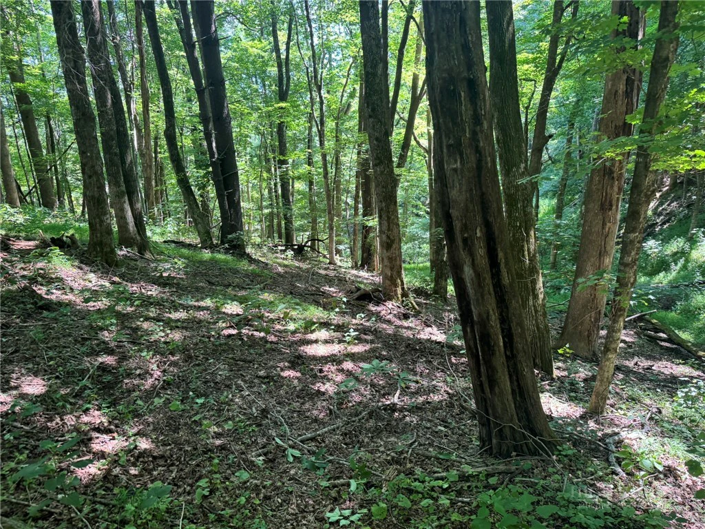 Image number 5 for the current listing