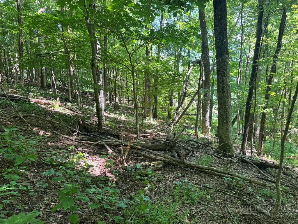 Image number 4 for the current listing