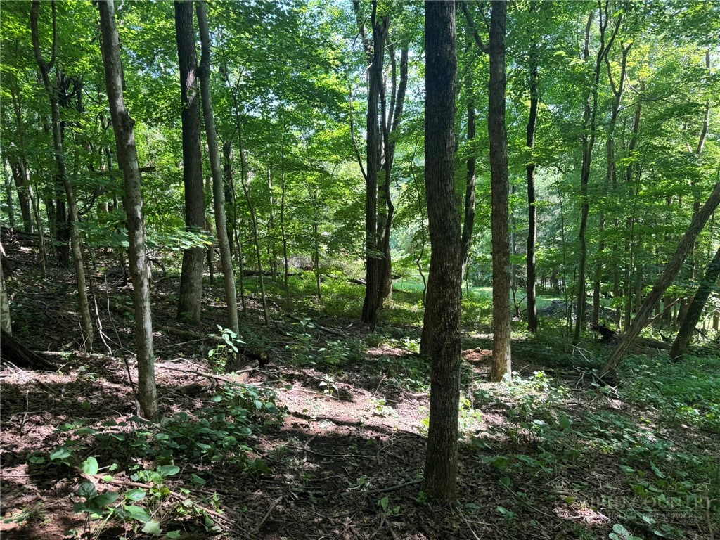 Image number 2 for the current listing