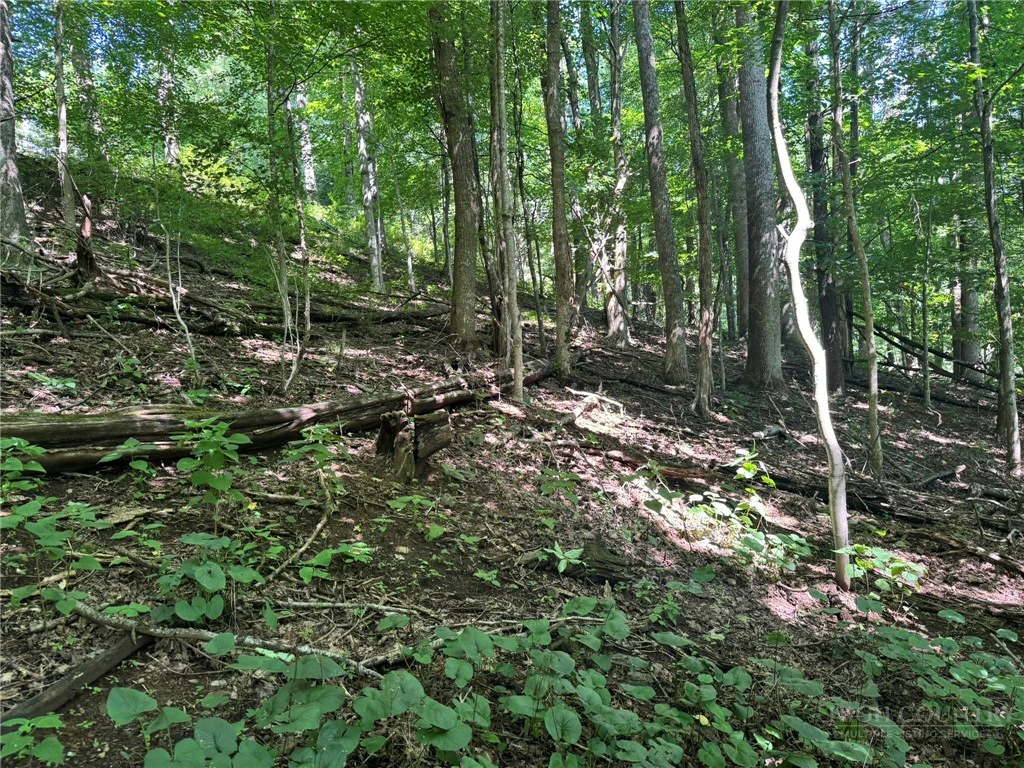 Image number 11 for the current listing