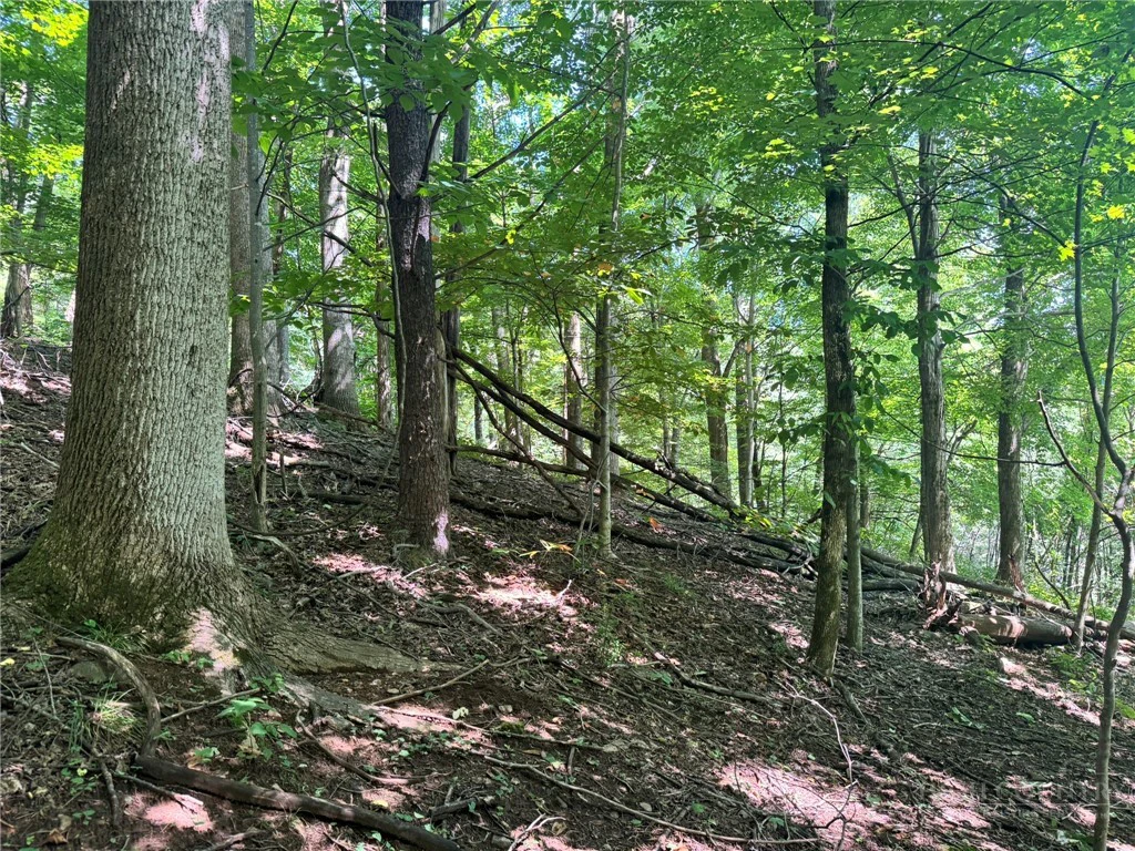 Image number 12 for the current listing