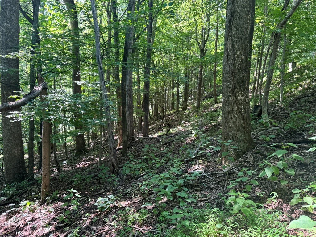 Image number 16 for the current listing