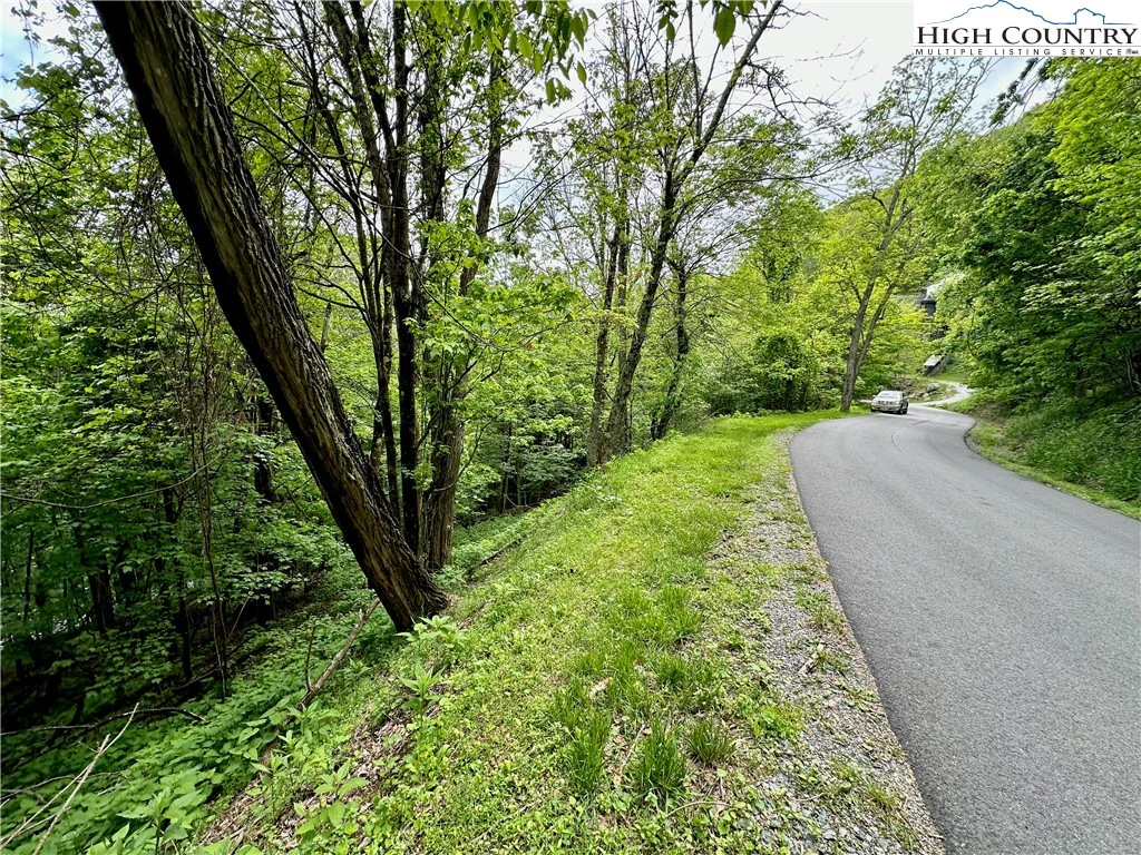 Image number 3 for the current listing