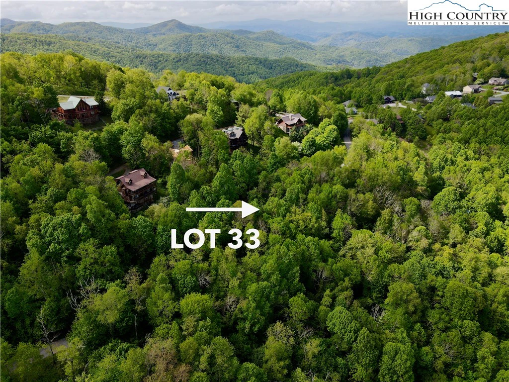 Image number 1 for the current listing