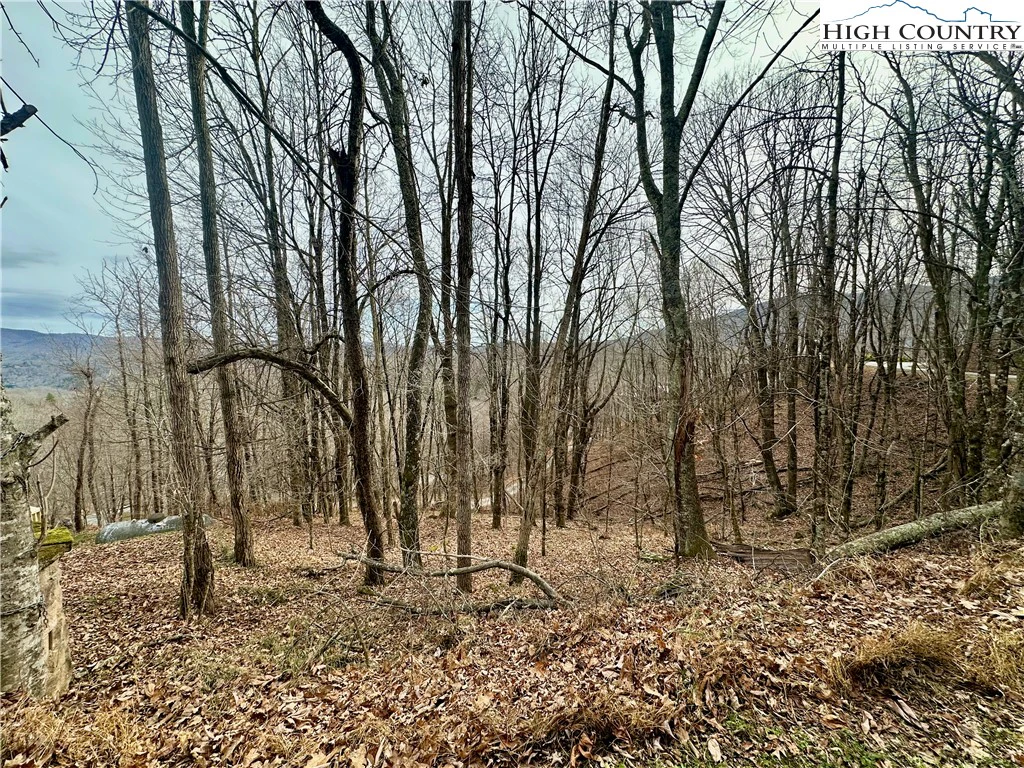 Image number 1 for the current listing