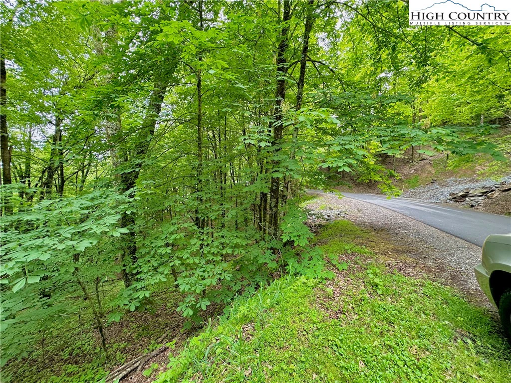 Image number 5 for the current listing