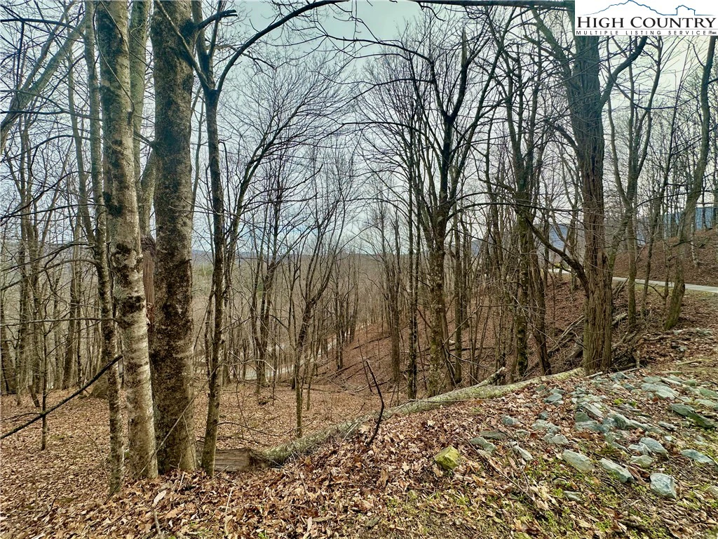 Image number 7 for the current listing