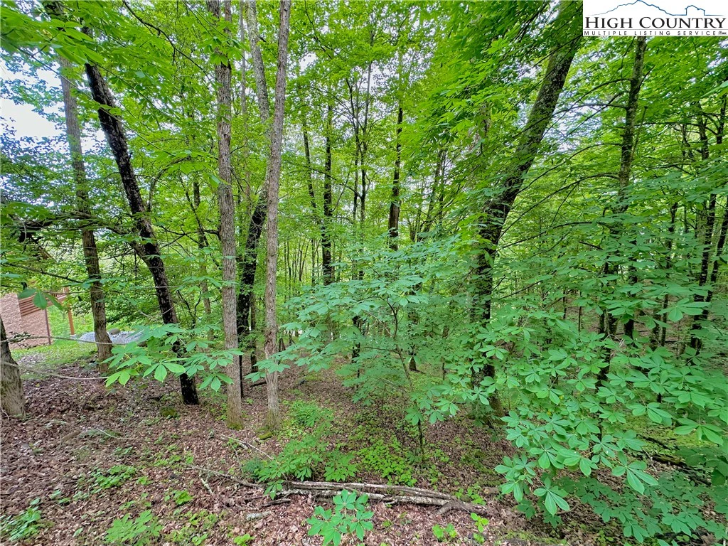 Image number 16 for the current listing
