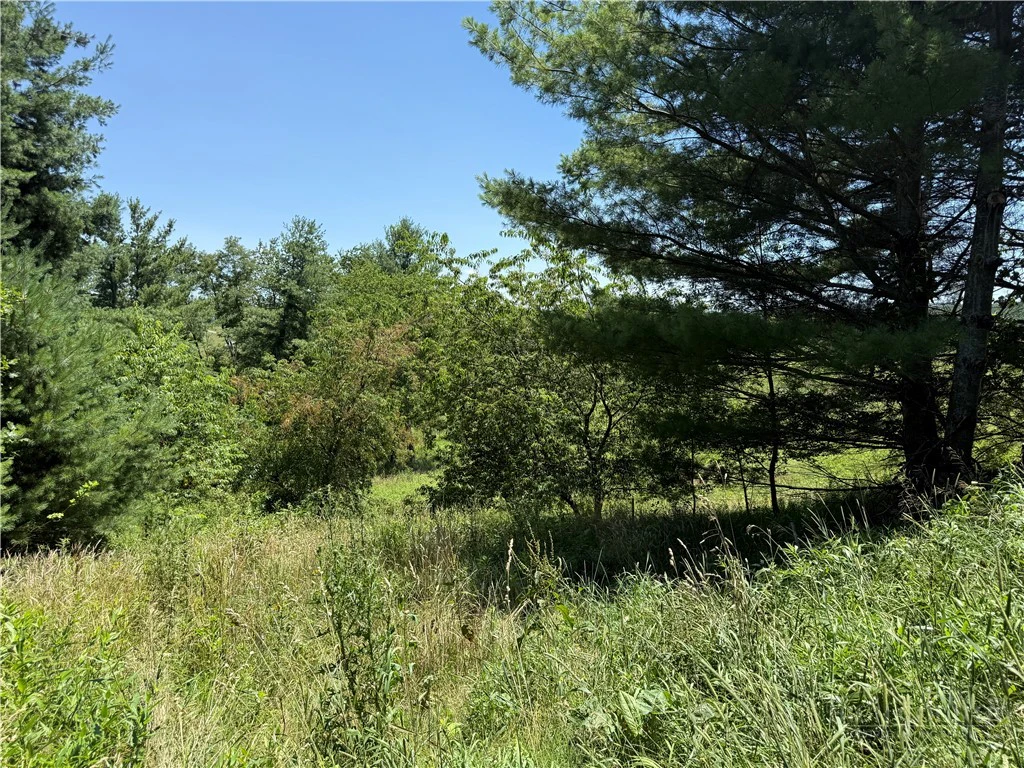 Image number 3 for the current listing