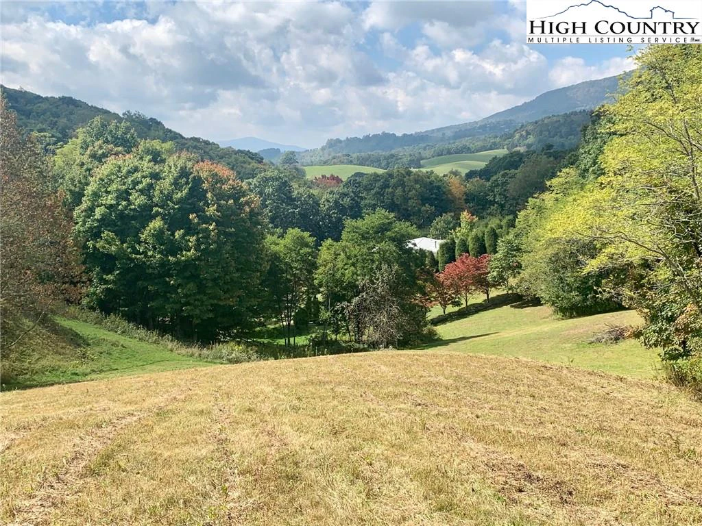 Image number 1 for the current listing