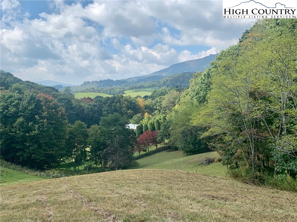 Image number 3 for the current listing
