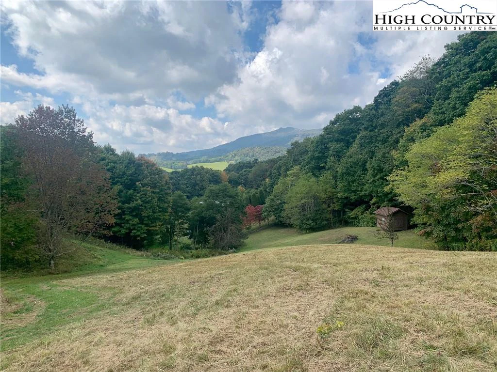 Image number 7 for the current listing