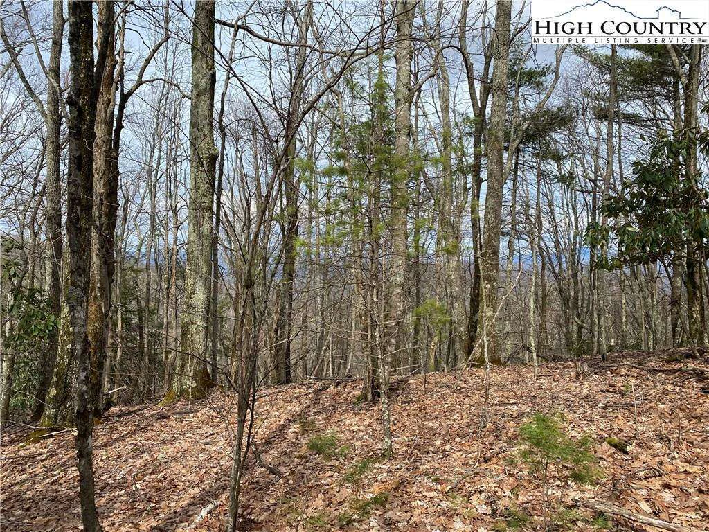 Image number 12 for the current listing