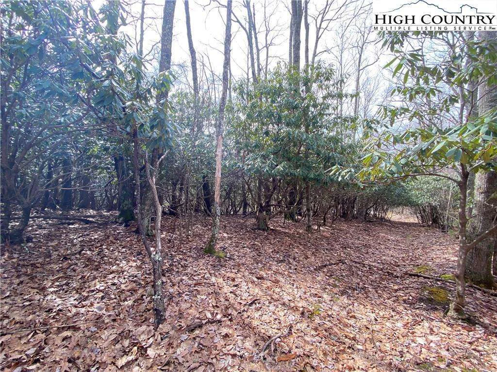 Image number 13 for the current listing