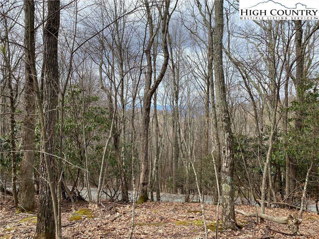 Image number 4 for the current listing