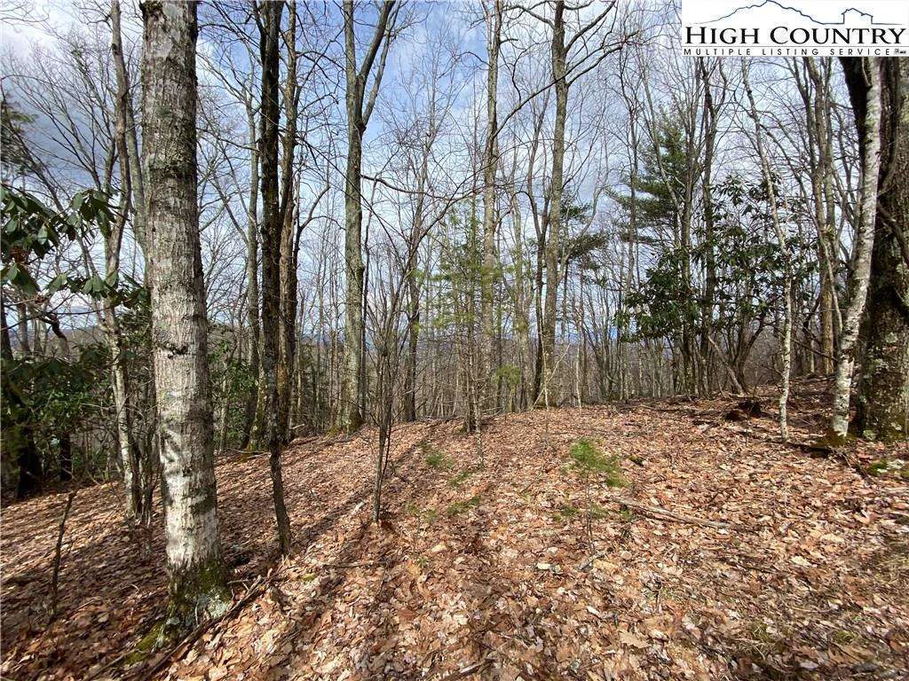 Image number 5 for the current listing