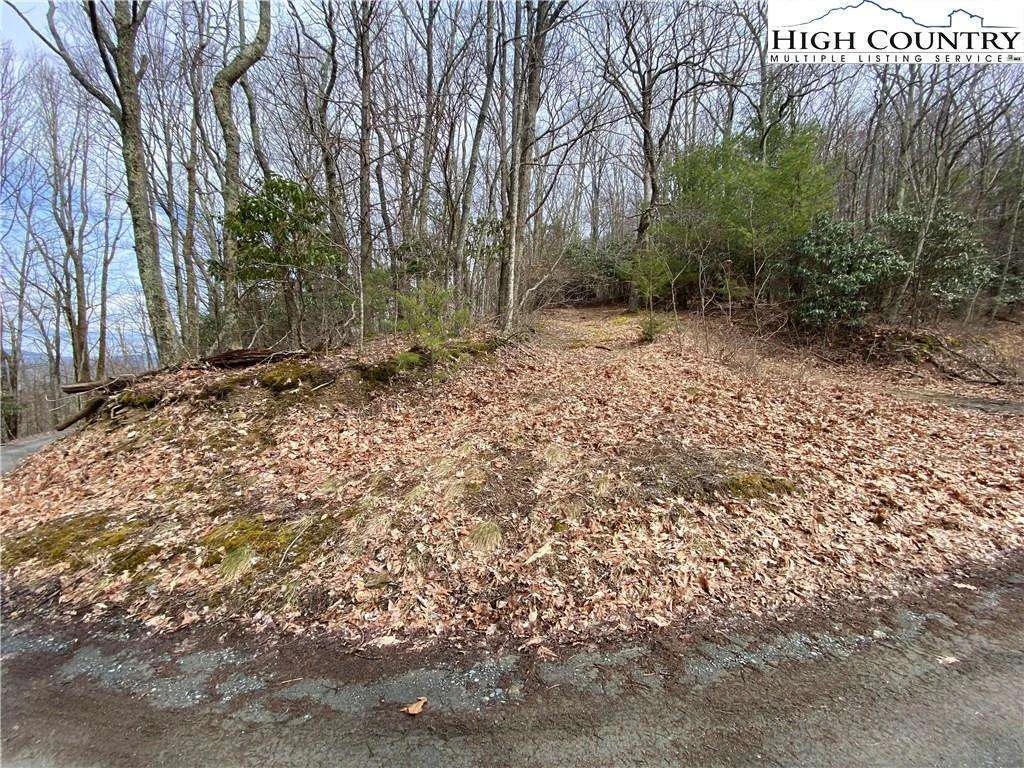 Image number 7 for the current listing