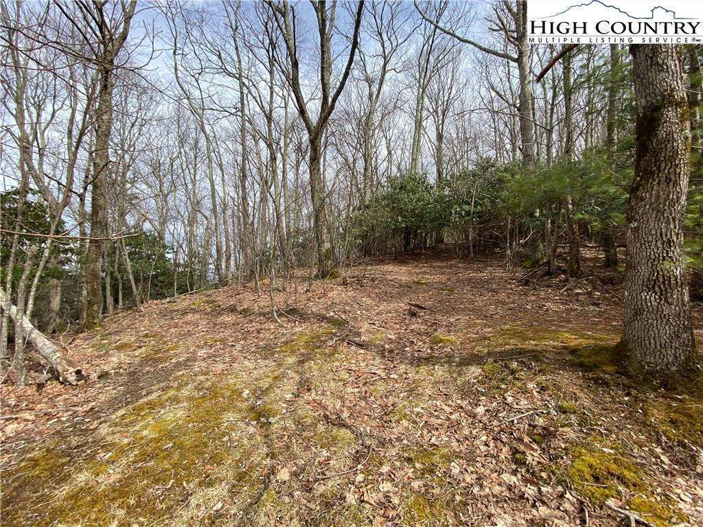 Image number 8 for the current listing