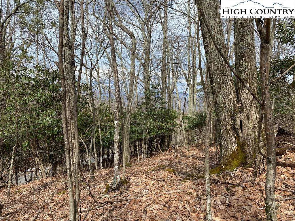 Image number 9 for the current listing