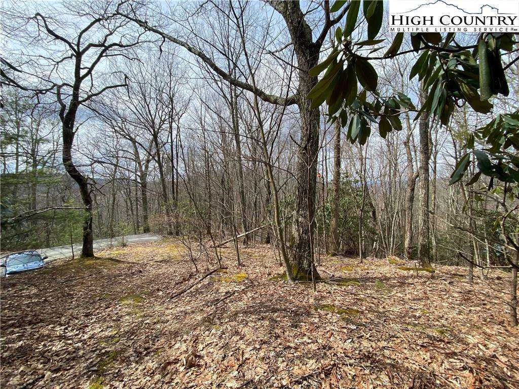Image number 10 for the current listing