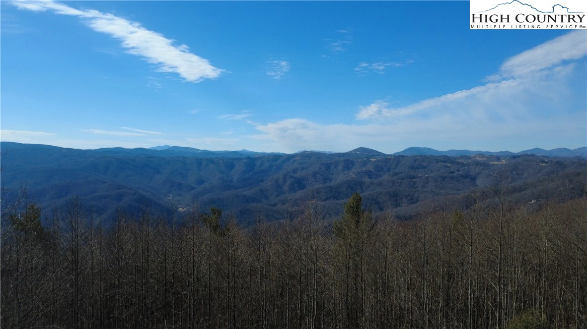 Image number 5 for the current listing