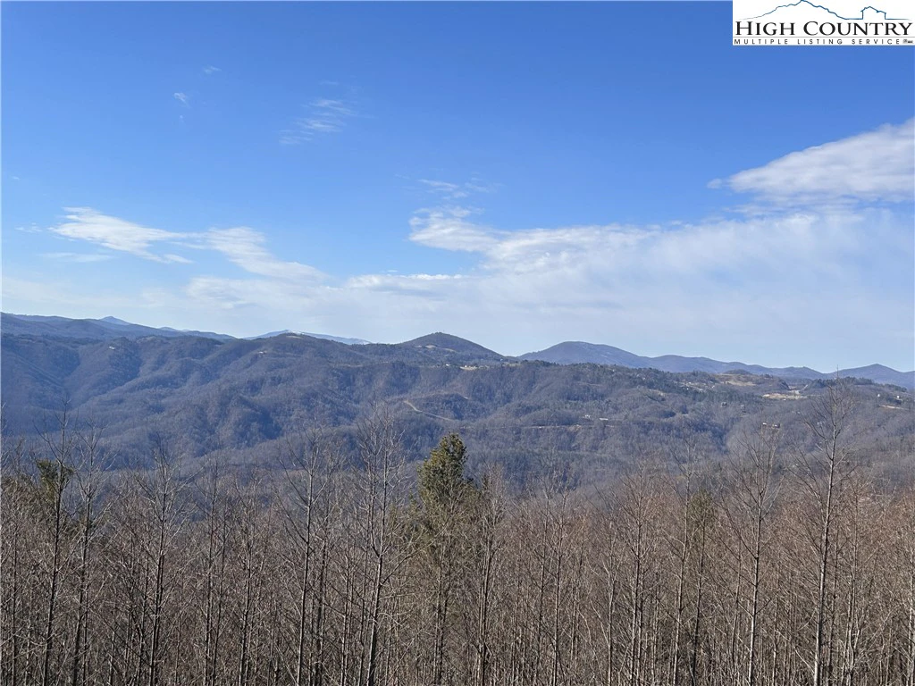 Image number 1 for the current listing