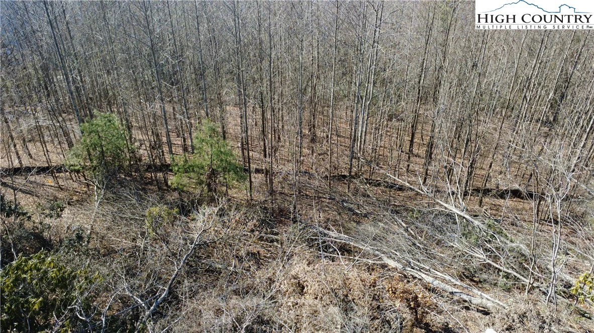 Image number 18 for the current listing