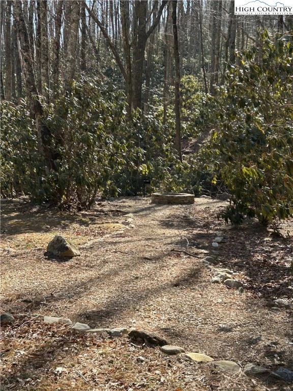 Image number 2 for the current listing