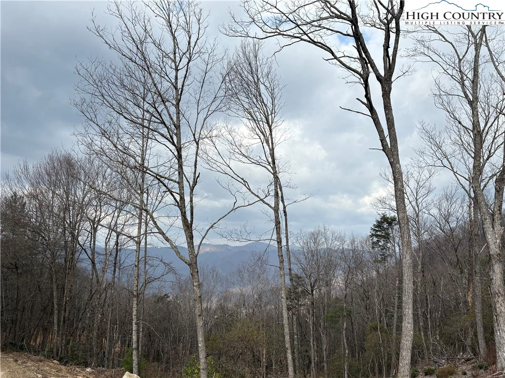 Image number 1 for the current listing