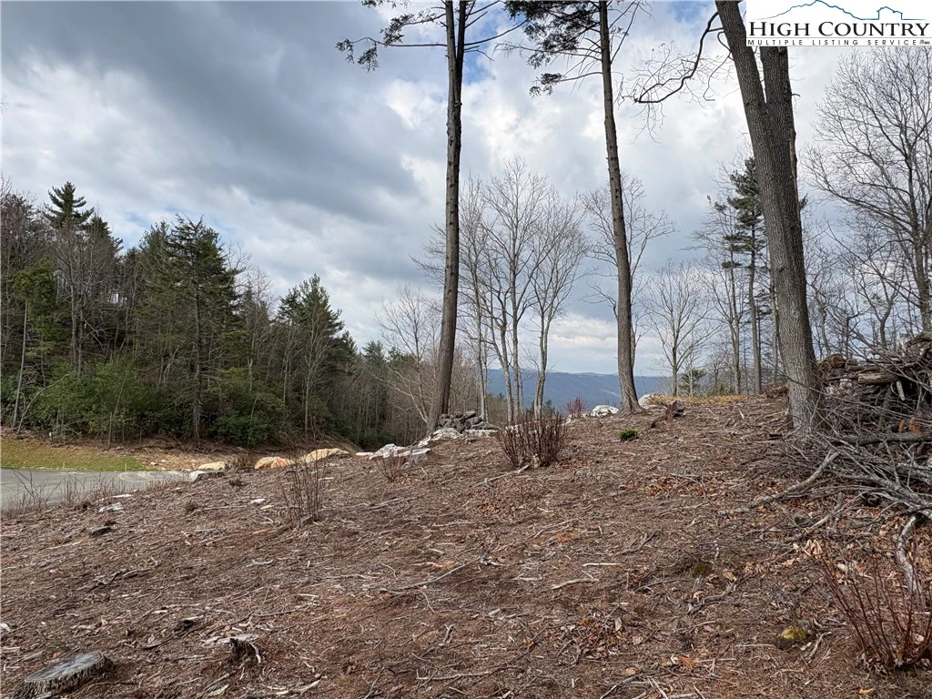 Image number 21 for the current listing