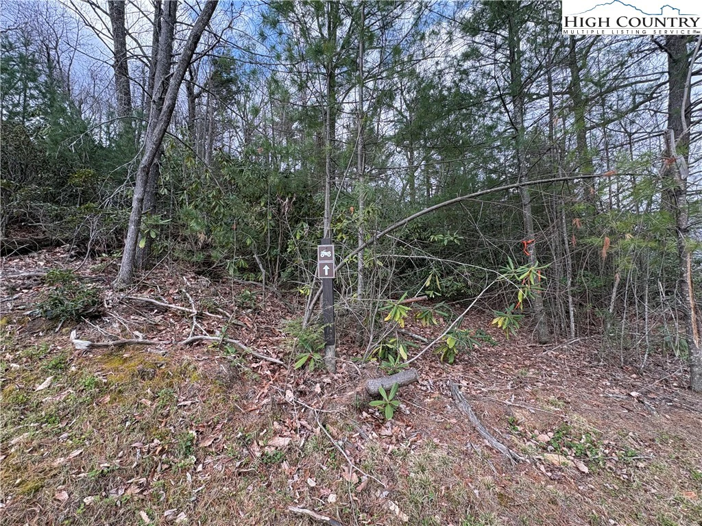 Image number 18 for the current listing